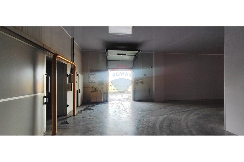 Фабрика - За продажба - с. Полковник Ламбриново, Област Силистра, България - хале 8.jpg - 360321028-142