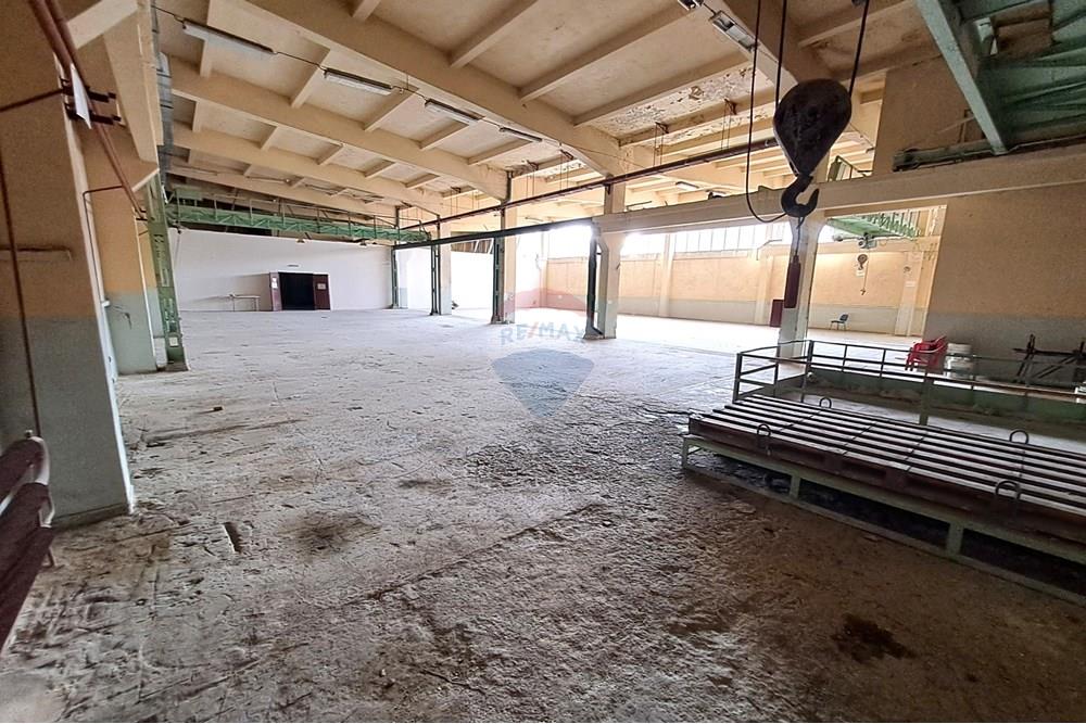 Индустриална сграда - Под наем - гр. Русе, Област Русе, България - 20251021_141034.JPG - 360451036-38