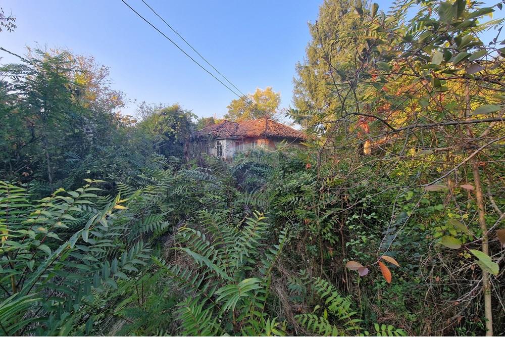 Hus på landet - Til salgs - с. Писанец, Област Русе, България - 20251016_172914.jpg - 360451038-13