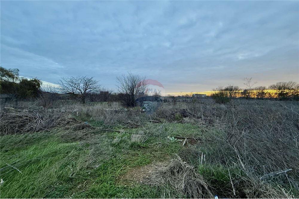 УПИ - За продажба - с. Топола, Област Добрич, България - Едноетажна сграда с функционално предназначение - селскостопанска сграда - Двор - 360321025-261