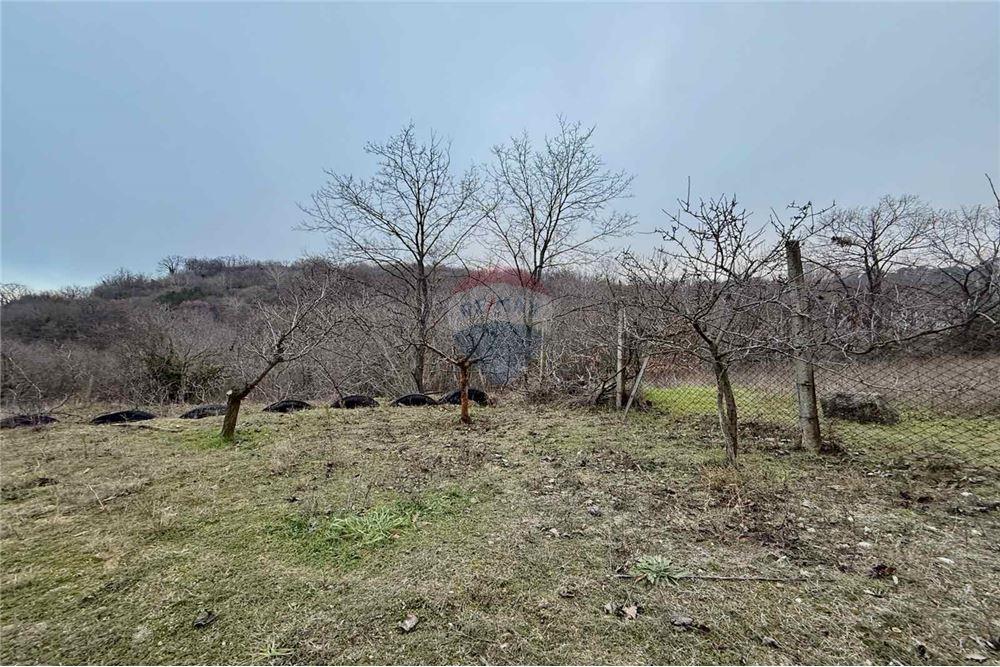 Вила - За продажба - гр. Варна, Област Варна, България - Озеленен, терасиран и аранжиран двор - Двор - 360321025-286