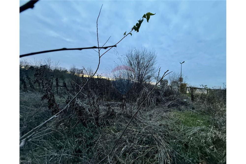 УПИ - За продажба - с. Топола, Област Добрич, България - Жилищна еднофамилна едноетажна сграда - Двор - 360321025-261