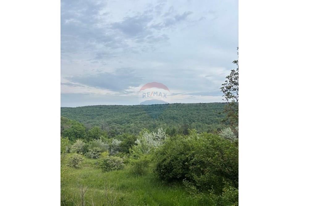 УПИ - За продажба - с. Звездица, Област Варна, България - viber_image_2025-05-16_16-34-22-880.jpg - 360531007-9