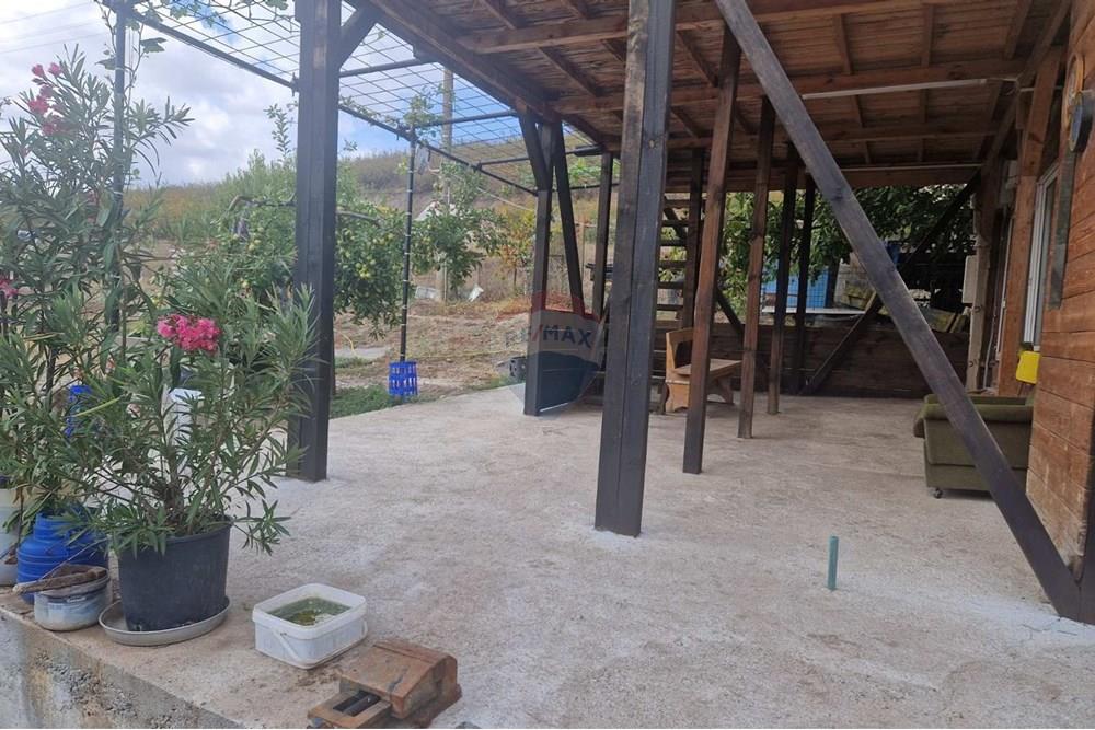 Стопанство - За продажба - с. Тенево, Област Ямбол, България - viber_image_2024-12-11_08-43-44-772.jpg - 360531003-47