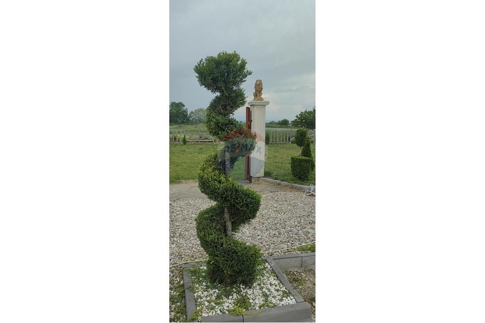 Земеделски имот - За продажба - с. Златитрап, Област Пловдив, България - 004b7296-d684-423b-ab43-d8df5e22a72a.jpg - 360261008-123