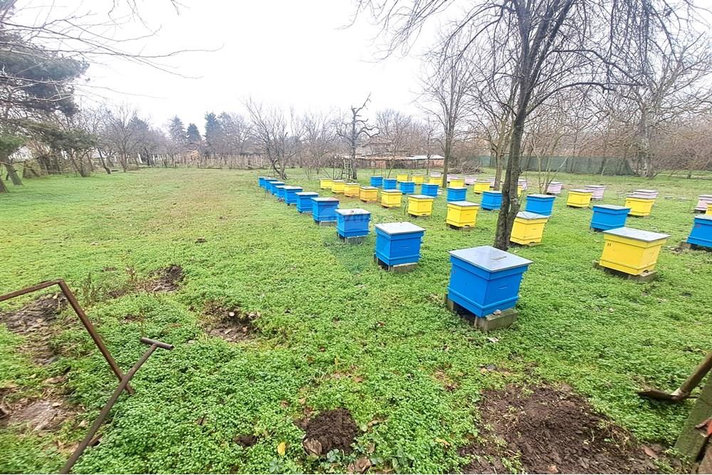 УПИ - За продажба - с. Бръшлен, Област Русе, България - 20251216_135223.JPG - 360451036-45