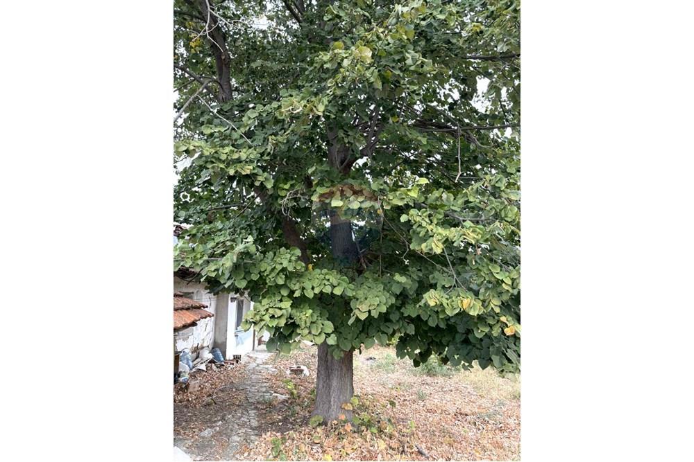 Селска къща - За продажба - с. Красен, Област Русе, България - IMG-75ec500a5e7c296689bd59bae8f60bd1-V.JPG - 360451036-44