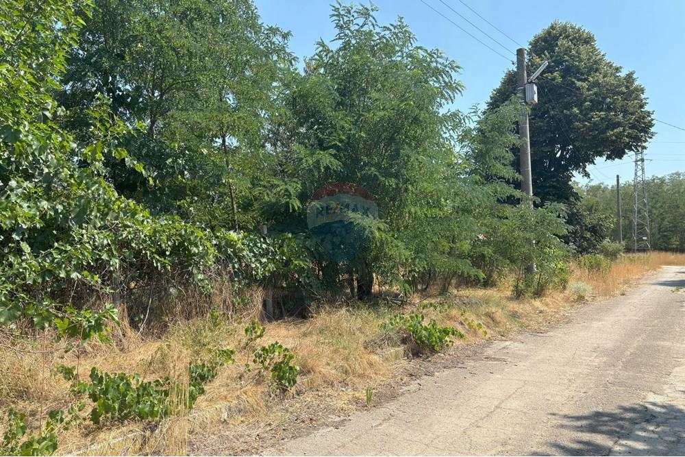 УПИ - За продажба - с. Казашка река, Област Варна, България - IMG_1954.jpg - 360391053-8