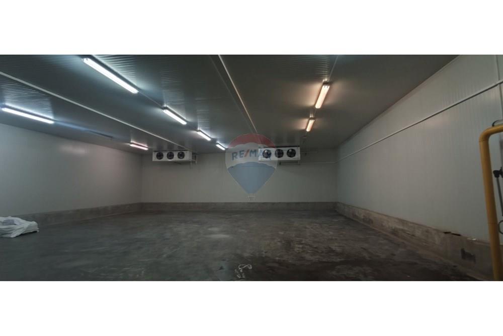 Фабрика - За продажба - с. Полковник Ламбриново, Област Силистра, България - хале 2.jpg - 360321028-142