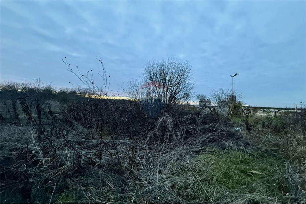 УПИ - За продажба - с. Топола, Област Добрич, България - Жилищна еднофамилна едноетажна сграда - Двор - 360321025-261