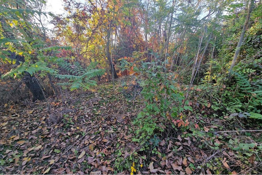 Hus på landet - Til salgs - с. Писанец, Област Русе, България - 20251016_170737.jpg - 360451038-13