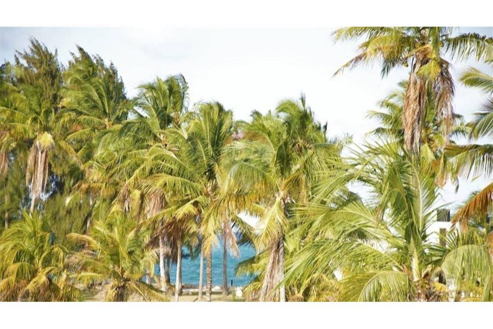 Хотел - За продажба - Zanzibar Central South, Zanzibar, Танзания - 36 - 360241007-96