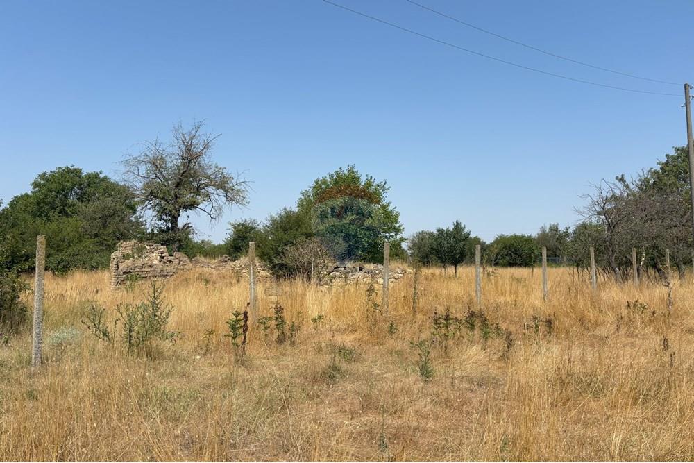 УПИ - За продажба - с. Казашка река, Област Варна, България - IMG_1951.jpg - 360391053-8