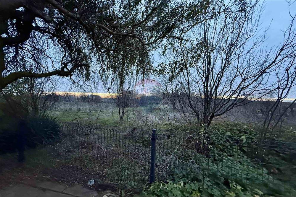 УПИ - За продажба - с. Топола, Област Добрич, България - Жилищна еднофамилна едноетажна сграда - Двор - 360321025-261