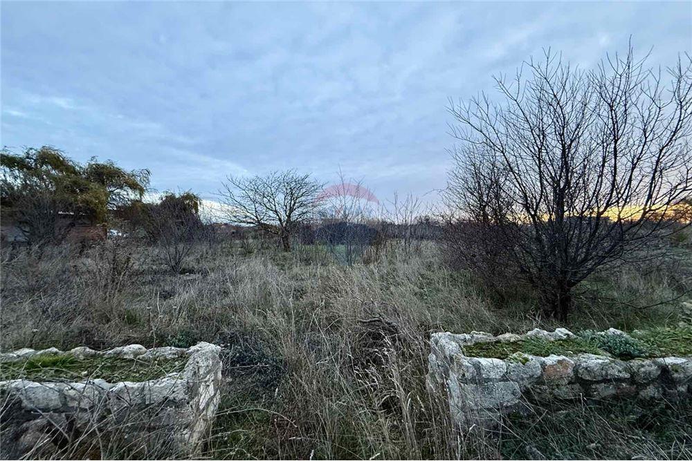 УПИ - За продажба - с. Топола, Област Добрич, България - Едноетажна сграда с функционално предназначение - складова база, склад - Двор - 360321025-261