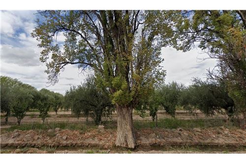 Slider Image Thumbnail
