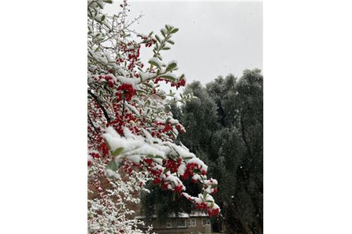 Slider Image Thumbnail