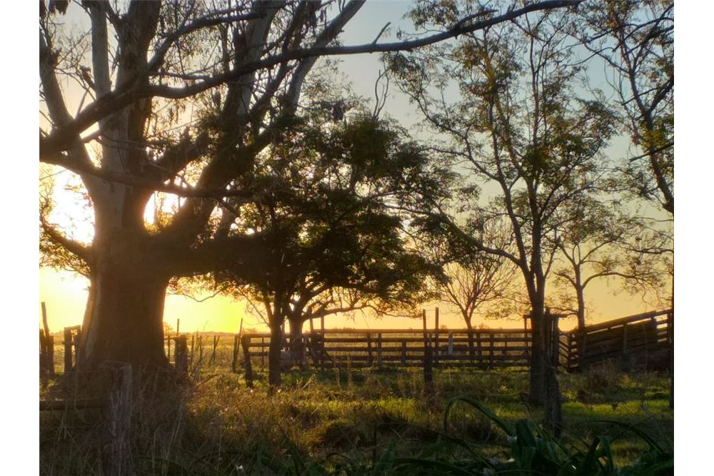 Barns For Conversion For Sale Santa Maria Santa Fe 420121160 24