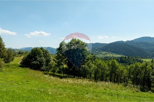 Sprzedaż-Działka budowlana-Krościenko Nad Dunajcem  -  Krościenko nad Dunajcem, Polska-800091049-21