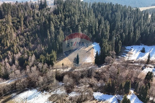 Sprzedaż-Działka budowlana-Stawiska  -  Łapsze Niżne, Polska-800091042-28