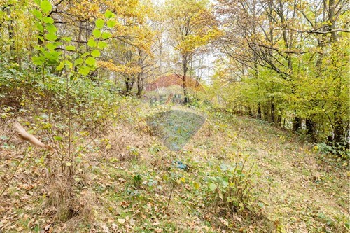 Sprzedaż-Działka-.  -  Żywiec, Polska-800061130-26