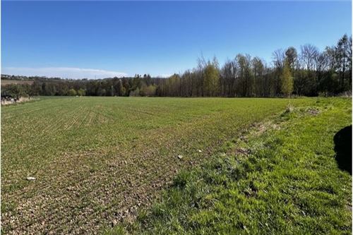 Działka - Sprzedaż - Pogórze, Polska - 9 - 800061117-26