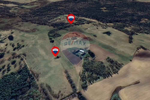 Sprzedaż-Działka-Młynarska  -  Nowe Worowo, Polska-800061093-117