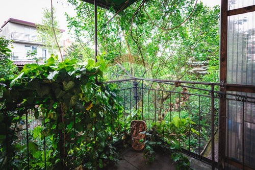 Slider Image Thumbnail