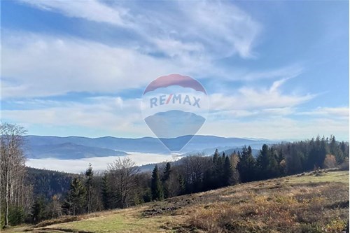 Sprzedaż-Działka-Soszów  -  Wisła, Polska-470131058-366