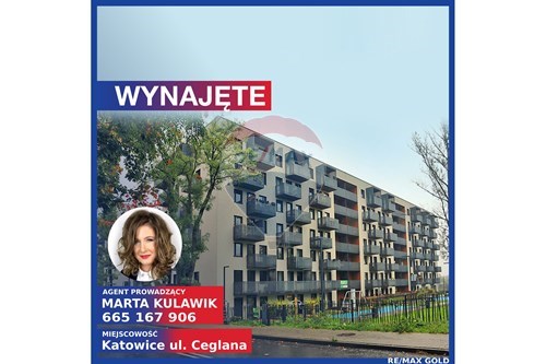 Wynajem-Mieszkanie-65B Ceglana  - Brynów  -  Katowice, Polska-800041001-899