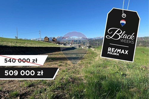 Sprzedaż-Działka-Potok Bryjów  -  Rzepiska, Polska-800091026-78