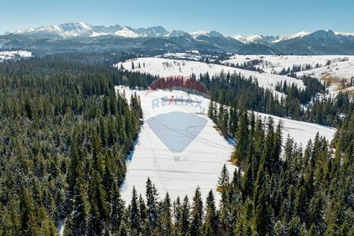 Sprzedaż-Działka-Jesionkówka  -  Poronin, Polska-800091045-28