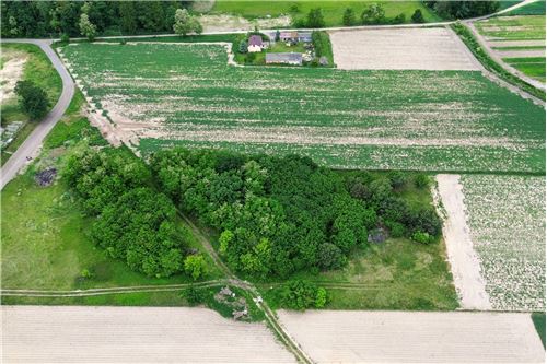 Sprzedaż-Działka-Pawłowice  -  Pawłowice, Polska-810141022-110