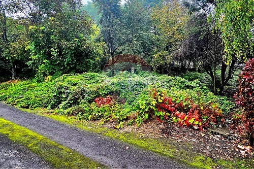 Sprzedaż-Nieruchomość gruntowa-ul. Wigury 1  - Mydlice  -  Dąbrowa Górnicza, Polska-800061135-13