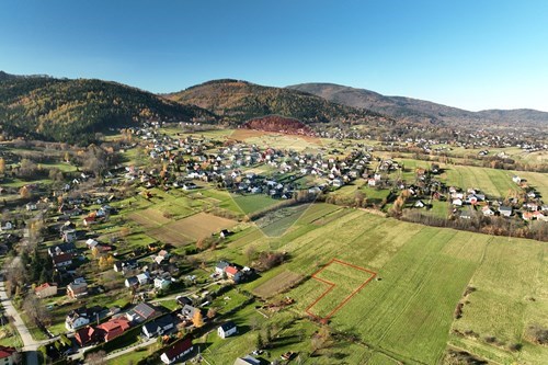 Sprzedaż-Działka-Polarna  -  Lipowa, Polska-800061133-2