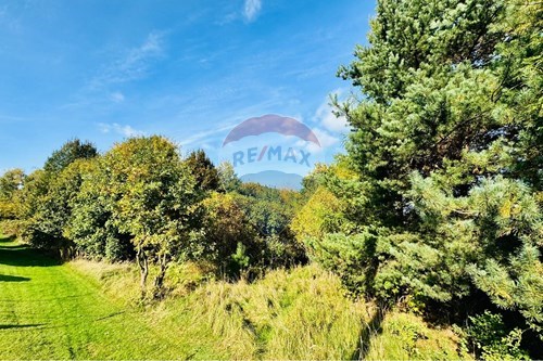 Sprzedaż-Działka budowlana-Zamenhofa  - Niedobczyce  -  Rybnik, Polska-470311001-55