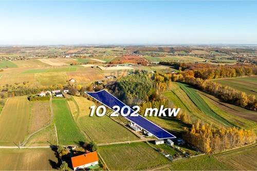 Sprzedaż-Działka-Skała  -  Stoki, Polska-800241032-77