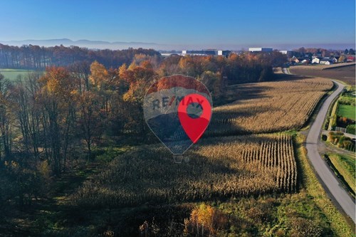 Sprzedaż-Działka-Malinowa  -  Witkowice, Polska-470131110-2