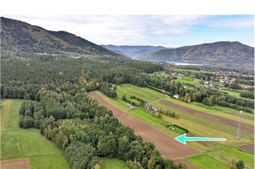 Sprzedaż-Działka budowlana-53 Beskidzka  -  Czaniec, Polska-800061016-1136