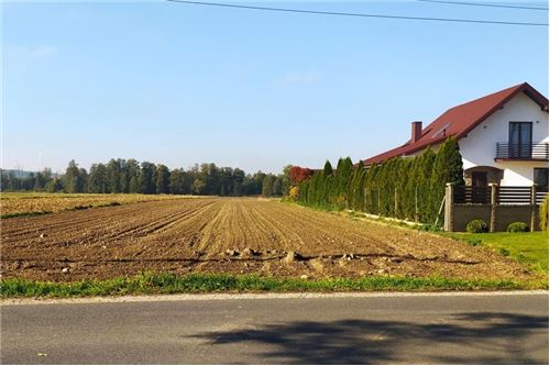 Sprzedaż-Działka-Jasień  -  Rawa Mazowiecka, Polska-470191052-15