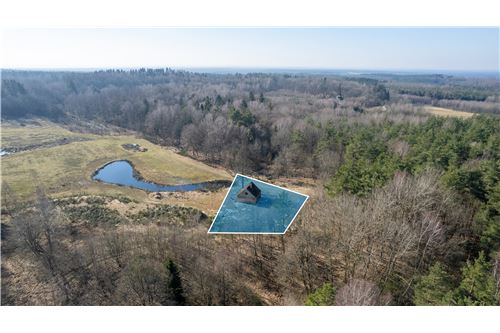 Sprzedaż-Dom wolnostojący-Jatynia 6  -  Jatynia, Polska-470281009-39