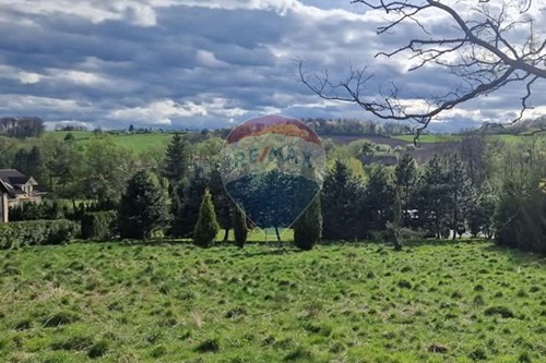 Sprzedaż-Nieruchomość gruntowa-Cieszyńska  -  Puńców, Polska-470131058-332