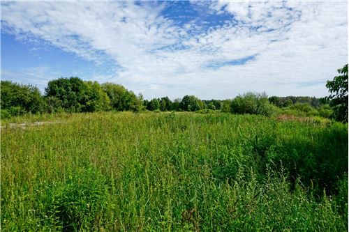 Sprzedaż-Działka-Marcowa  -  Żyrardów, Polska-810141002-672