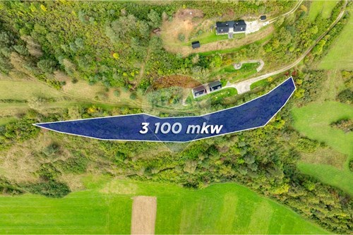 Sprzedaż-Działka-Świętej Kingi  -  Knurów, Polska-470151024-457