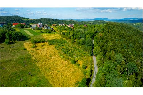 For Sale-Plot of Land for Hospitality Development-Jazowsko  -  Jazowsko, Poland-800241021-100