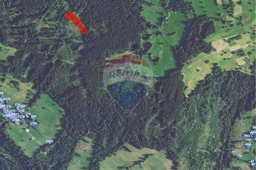 Sprzedaż-Działka-Dziedzicówka  -  Dzianisz, Polska-470151050-7