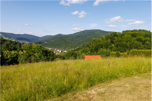 For Sale-Plot of Land for Hospitality Development-Pod jabłonie  - Tresna  -  Czernichow, Poland-800061107-15