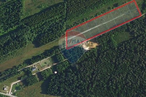 Sprzedaż-Działka-Zakrzów  -  Zakrzów, Polska-470191057-49