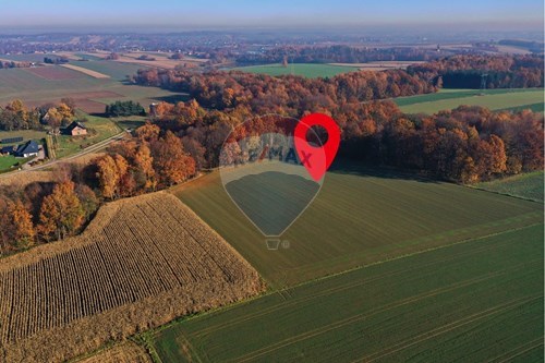 Sprzedaż-Działka-Malinowa  -  Witkowice, Polska-470131110-4