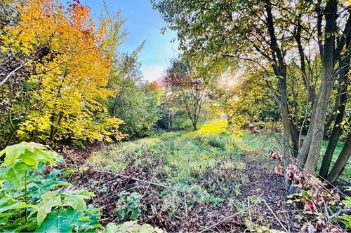 Slider Image Thumbnail